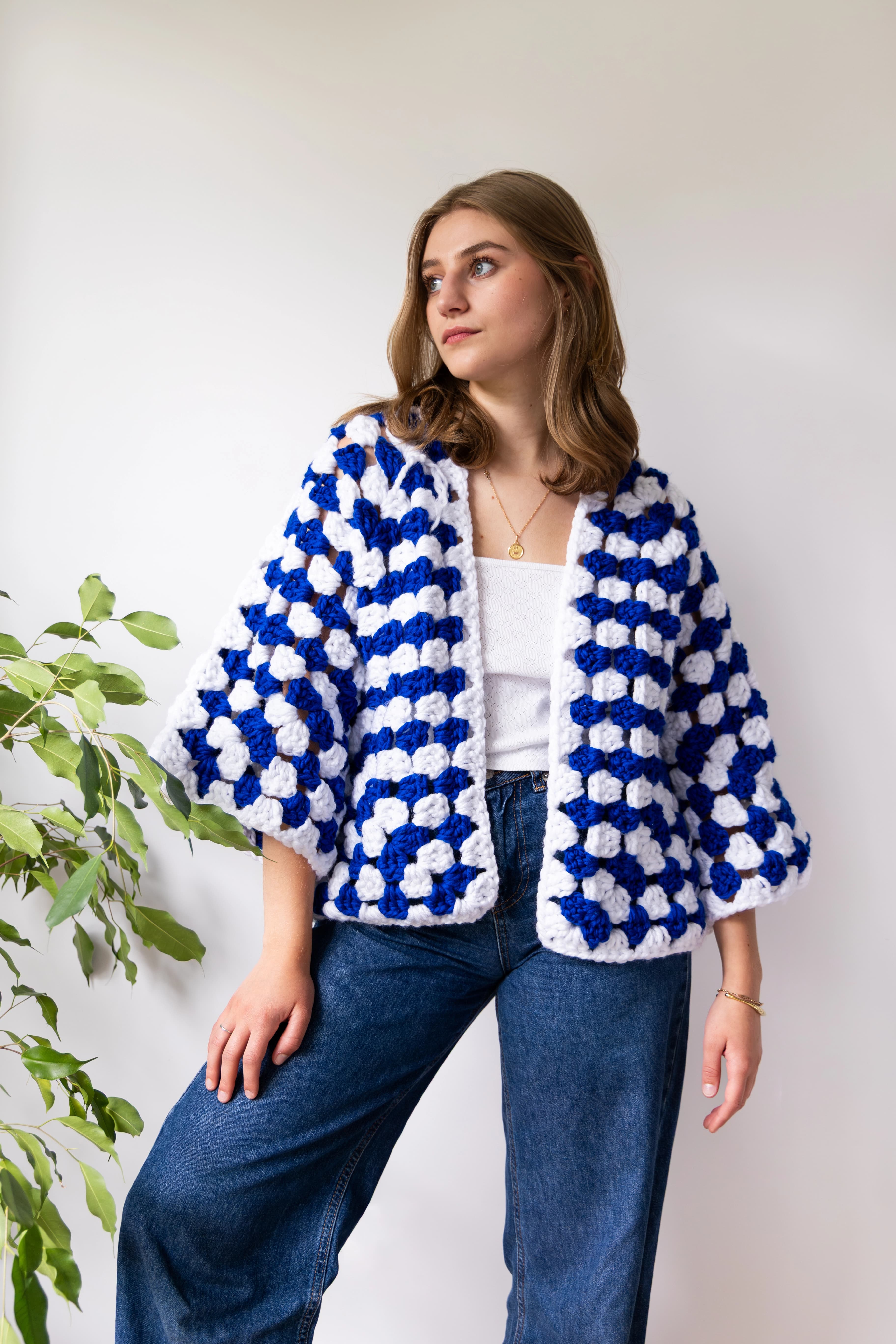 Le Gilet bleu et blanc - vue 2